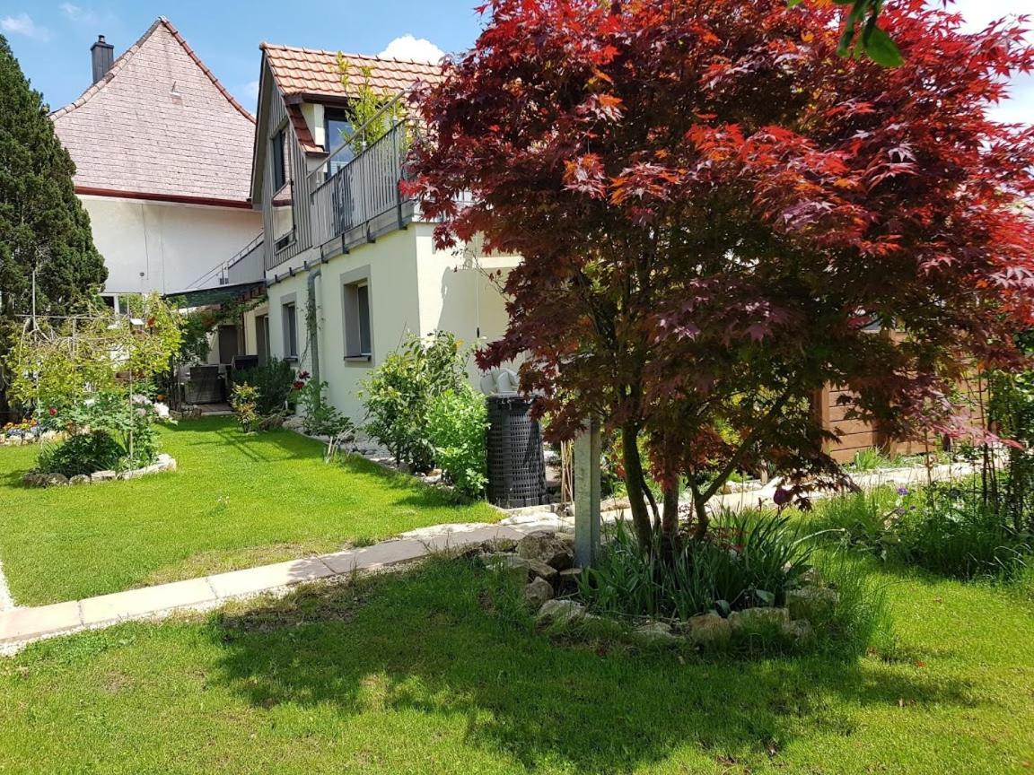 Bnb Comfort Guesthouse Olten - Lostorf Exterior foto