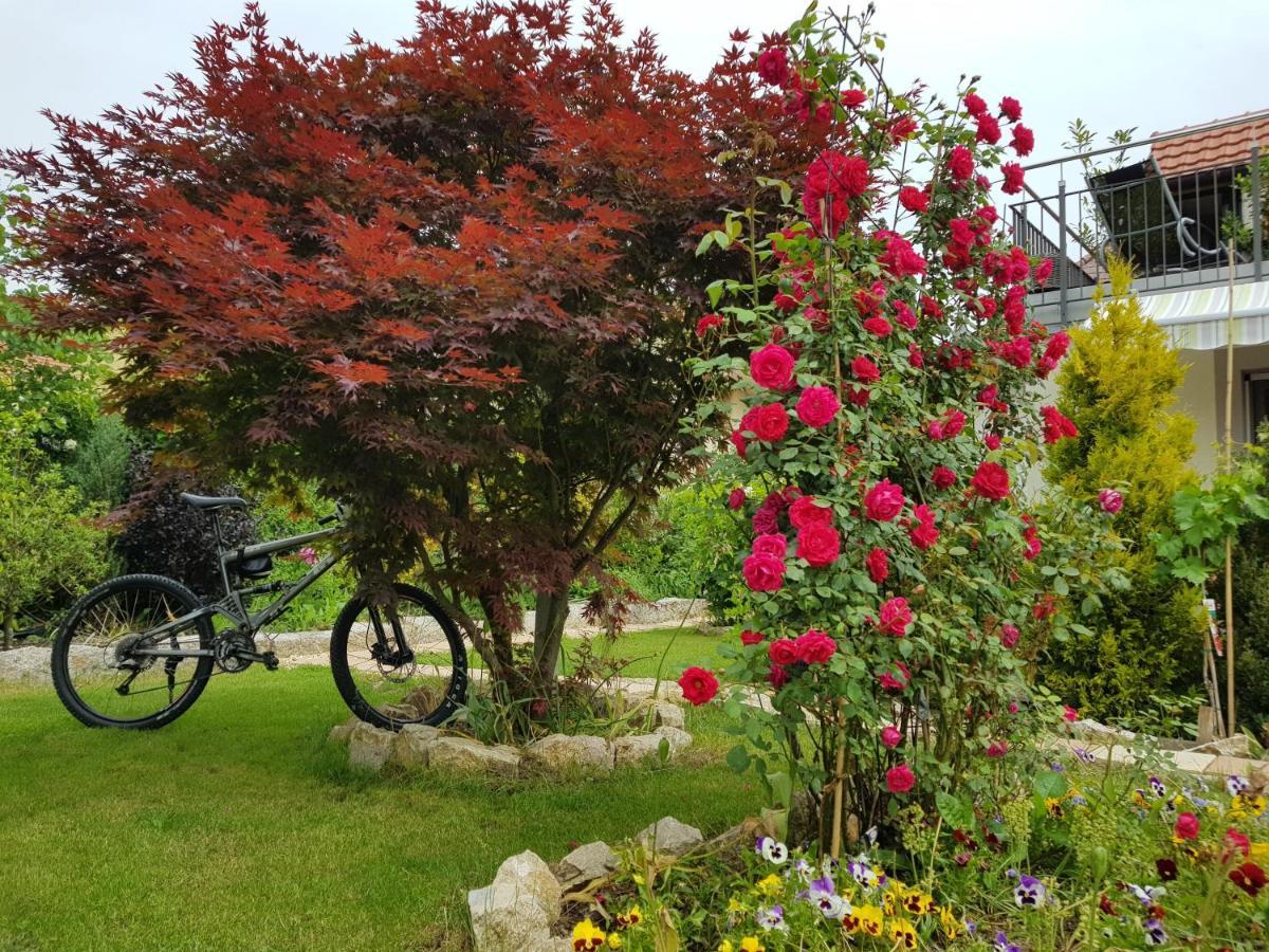 Bnb Comfort Guesthouse Olten - Lostorf Exterior foto