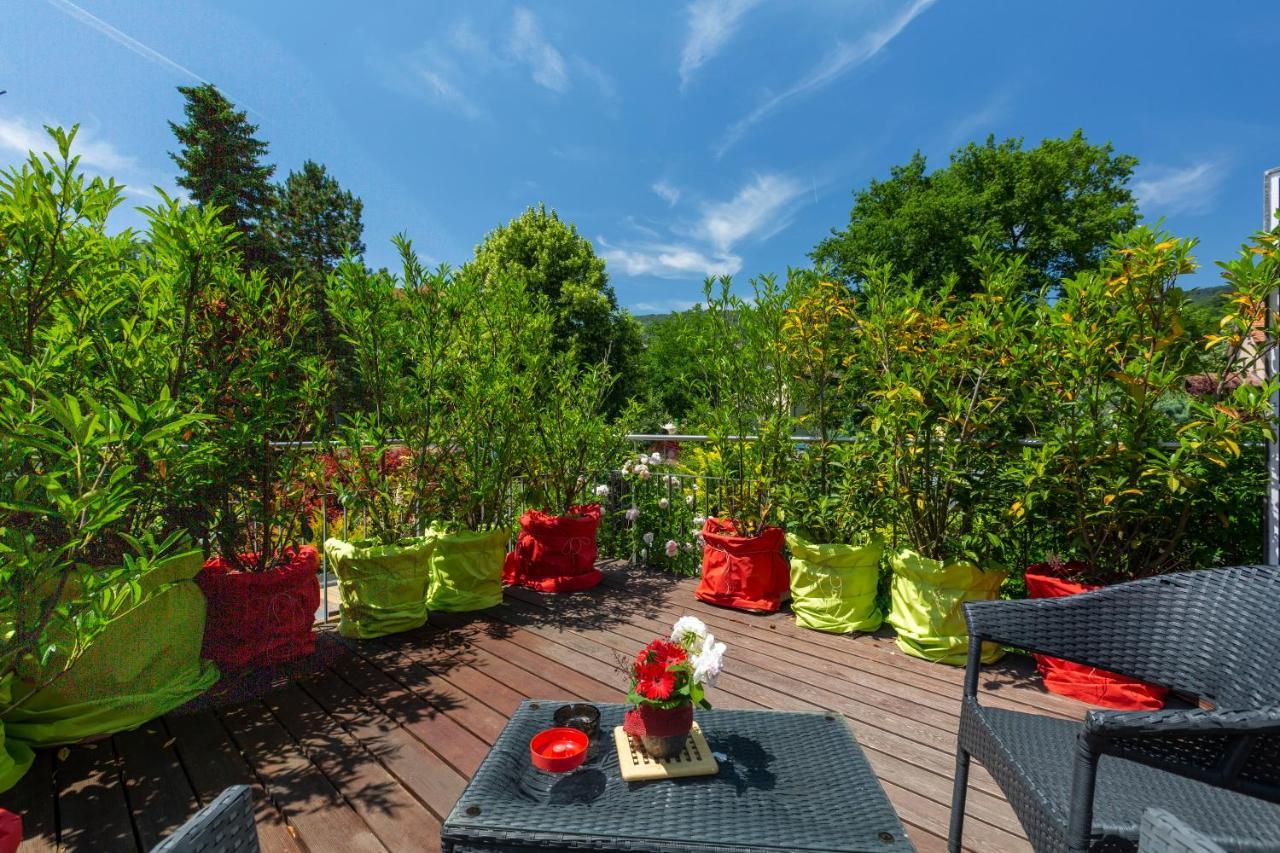 Bnb Comfort Guesthouse Olten - Lostorf Exterior foto