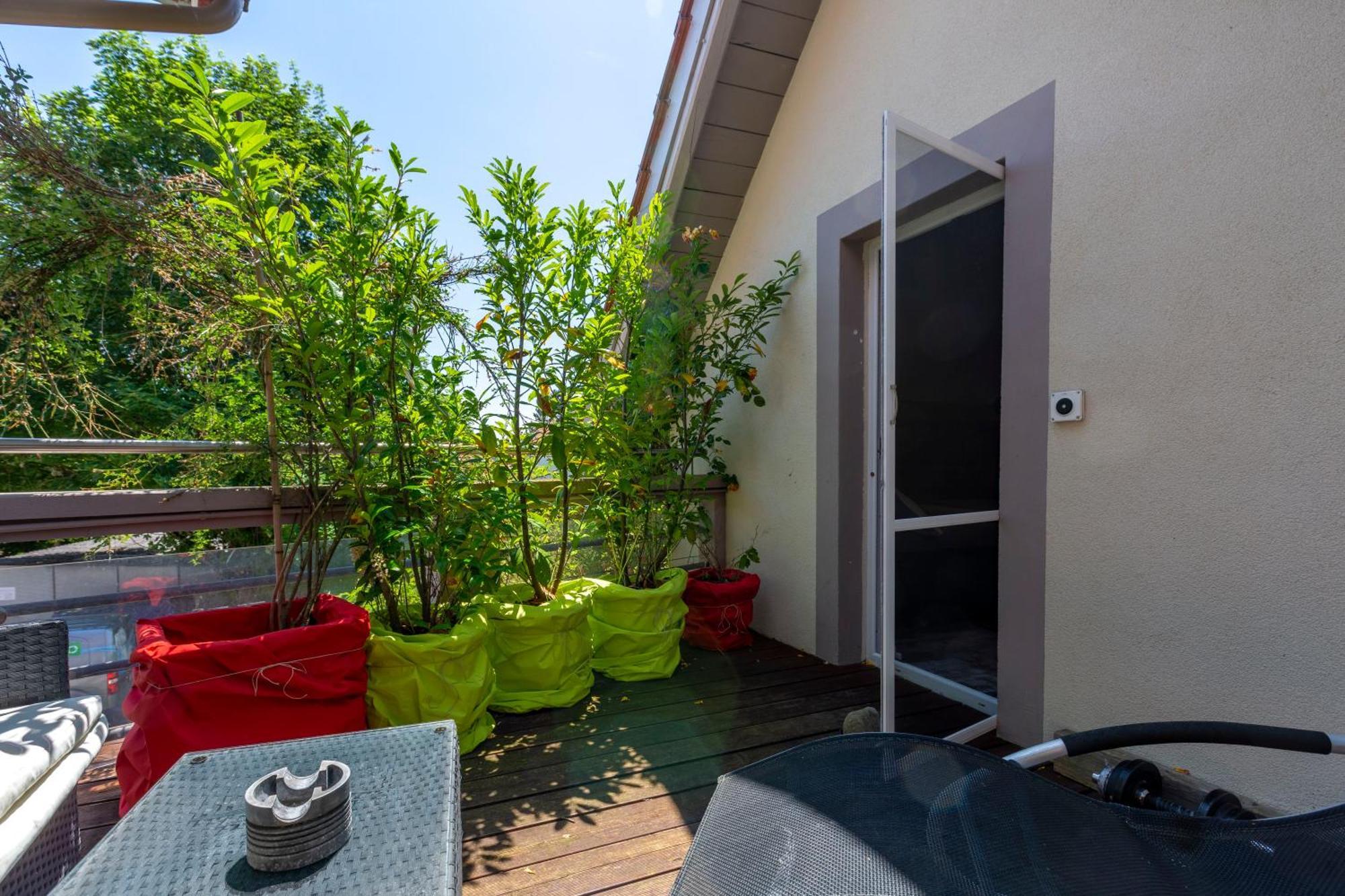 Bnb Comfort Guesthouse Olten - Lostorf Exterior foto