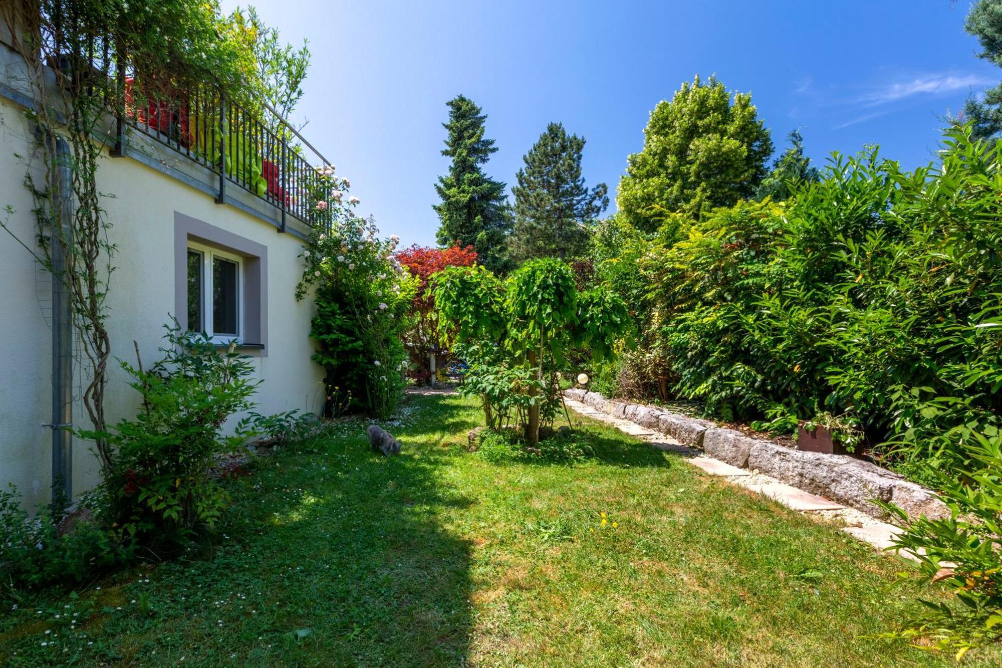 Bnb Comfort Guesthouse Olten - Lostorf Exterior foto